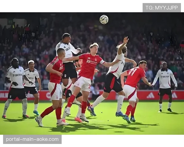 官方比赛报告:斯特拉斯堡vs南特一役共出示7张黄牌 官方比赛报告:斯特拉斯堡vs南特一役共出示7张黄牌